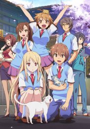 Кошечка из Сакурасо, Сезон 1 (2012) 1080 HD